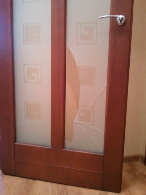 Замена разбитого стекла в межкомнатной двери в Балашихе